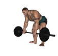 Reverse Curl - Bent Over Barbell